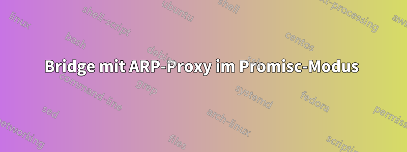 Bridge mit ARP-Proxy im Promisc-Modus