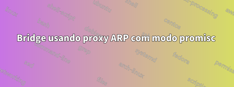 Bridge usando proxy ARP com modo promisc