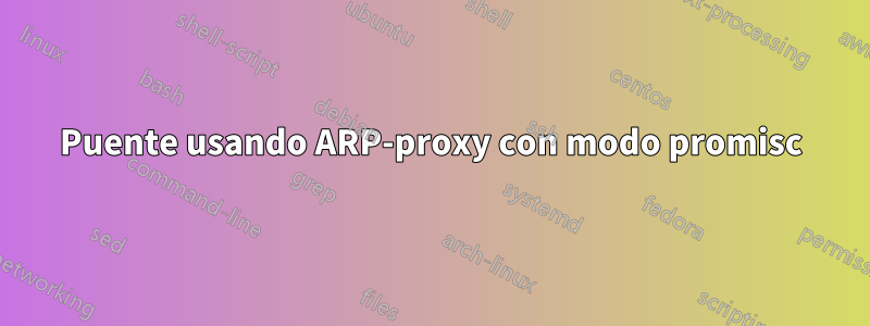 Puente usando ARP-proxy con modo promisc