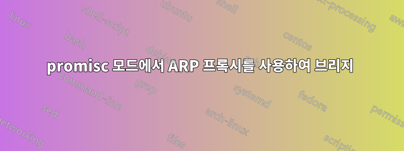 promisc 모드에서 ARP 프록시를 사용하여 브리지