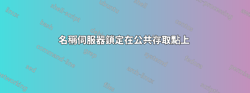 名稱伺服器鎖定在公共存取點上