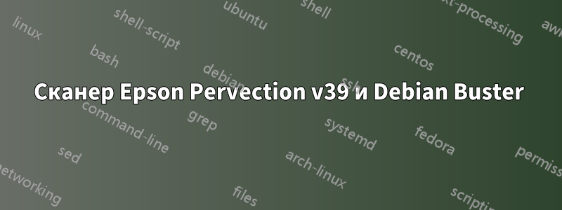 Сканер Epson Pervection v39 и Debian Buster