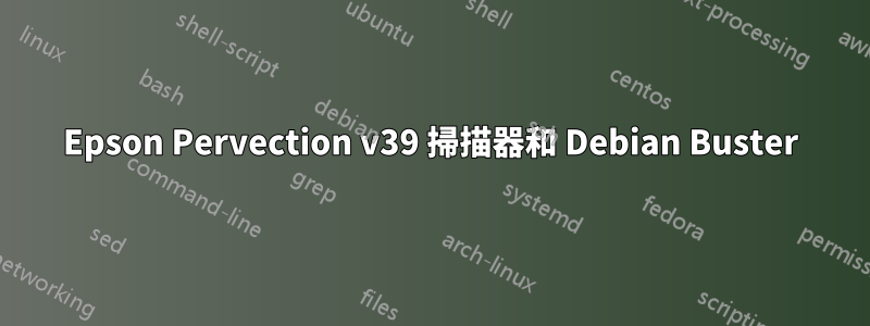 Epson Pervection v39 掃描器和 Debian Buster