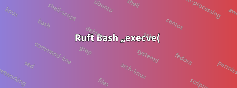 Ruft Bash „execve()“ auf, ohne weitere Änderungen daran vorzunehmen, wie „execve()“ die Signaldispositionen behandelt?
