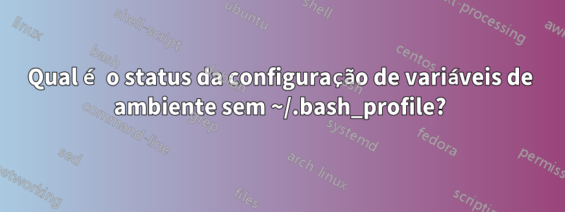 Qual é o status da configuração de variáveis ​​de ambiente sem ~/.bash_profile?