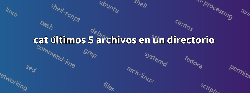 cat últimos 5 archivos en un directorio