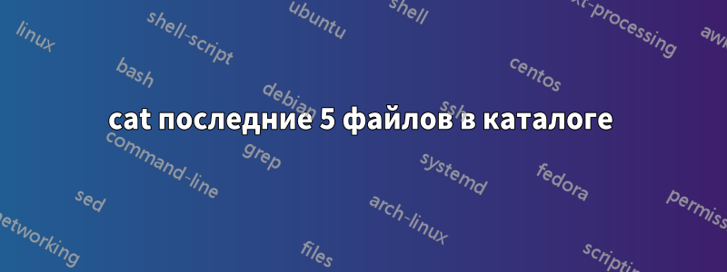 cat последние 5 файлов в каталоге