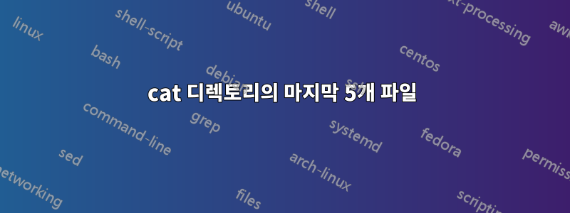 cat 디렉토리의 마지막 5개 파일