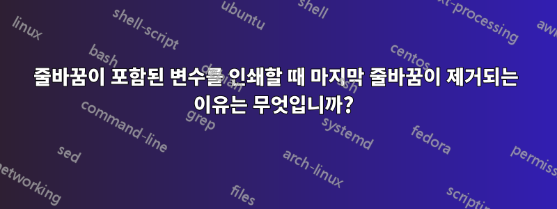 줄바꿈이 포함된 변수를 인쇄할 때 마지막 줄바꿈이 제거되는 이유는 무엇입니까? 