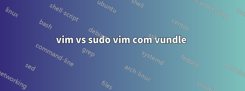 vim vs sudo vim com vundle