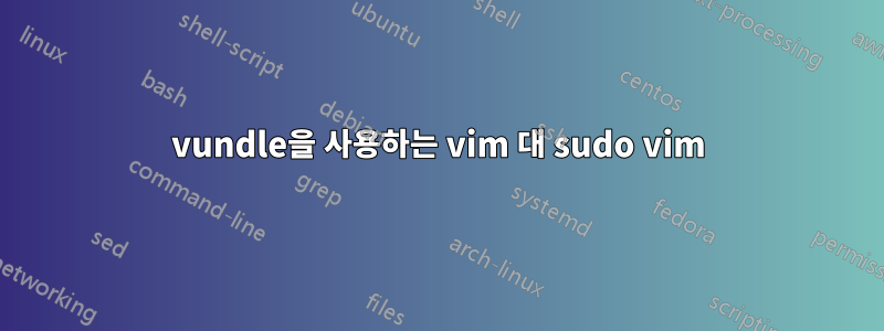 vundle을 사용하는 vim 대 sudo vim