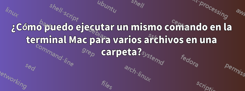 ¿Cómo puedo ejecutar un mismo comando en la terminal Mac para varios archivos en una carpeta?