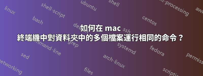 如何在 mac 終端機中對資料夾中的多個檔案運行相同的命令？