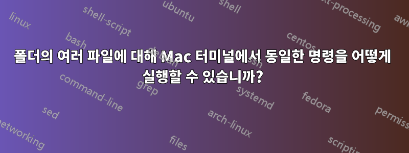 폴더의 여러 파일에 대해 Mac 터미널에서 동일한 명령을 어떻게 실행할 수 있습니까?