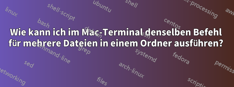 Wie kann ich im Mac-Terminal denselben Befehl für mehrere Dateien in einem Ordner ausführen?