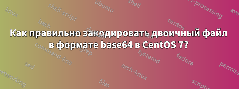 Как правильно закодировать двоичный файл в формате base64 в CentOS 7?