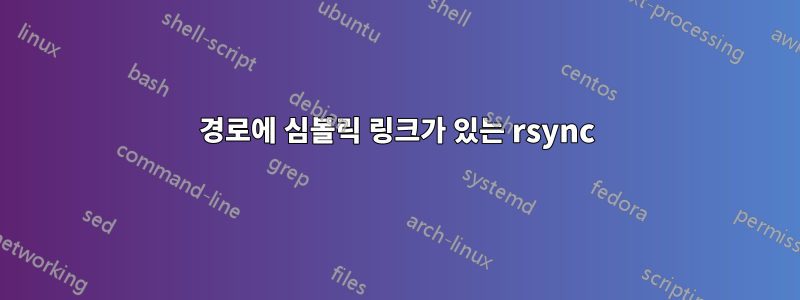 경로에 심볼릭 링크가 있는 rsync