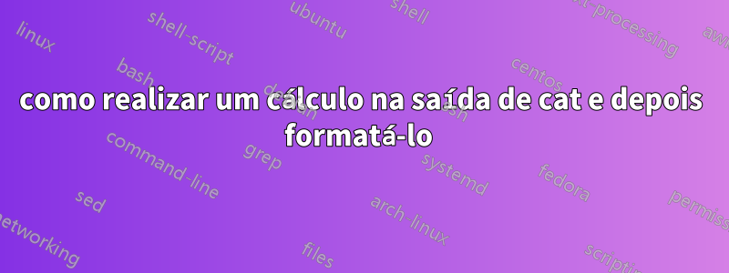 como realizar um cálculo na saída de cat e depois formatá-lo 