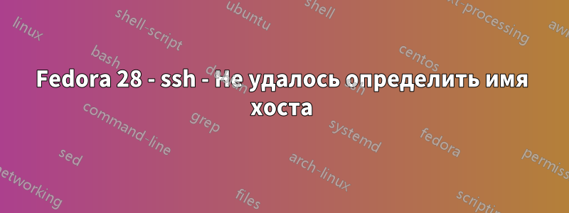 Fedora 28 - ssh - Не удалось определить имя хоста