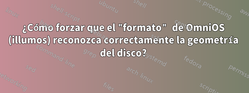 ¿Cómo forzar que el "formato" de OmniOS (illumos) reconozca correctamente la geometría del disco?