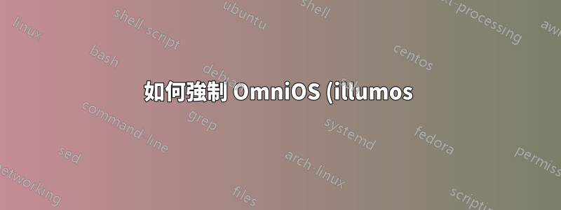 如何強制 OmniOS (illumos)「格式化」正確辨識磁碟幾何?