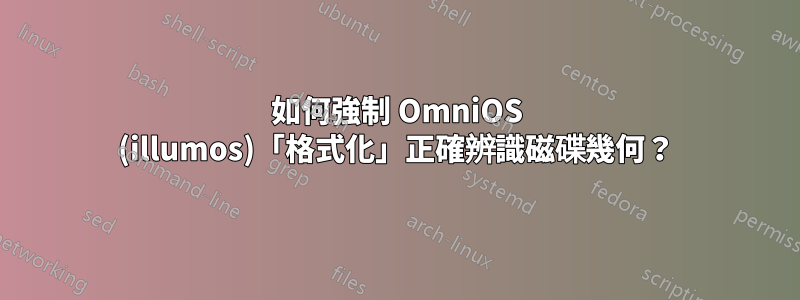 如何強制 OmniOS (illumos)「格式化」正確辨識磁碟幾何？