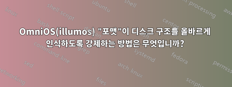 OmniOS(illumos) "포맷"이 디스크 구조를 올바르게 인식하도록 강제하는 방법은 무엇입니까?