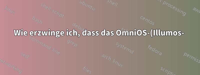 Wie erzwinge ich, dass das OmniOS-(Illumos-)Format die Datenträgergeometrie richtig erkennt?