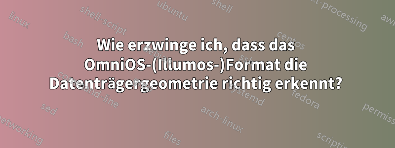 Wie erzwinge ich, dass das OmniOS-(Illumos-)Format die Datenträgergeometrie richtig erkennt?