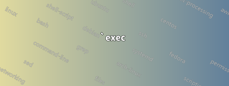 `exec 