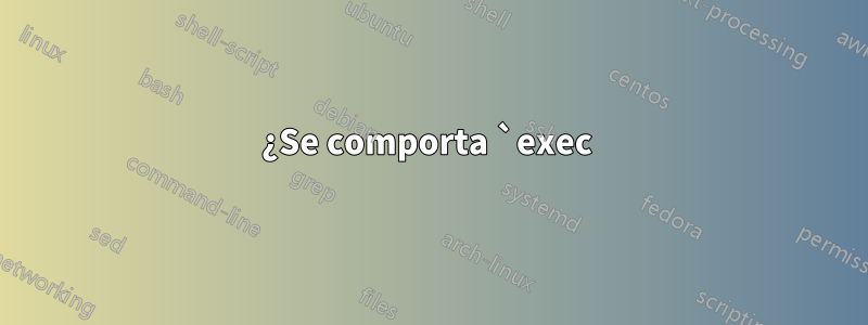 ¿Se comporta `exec 