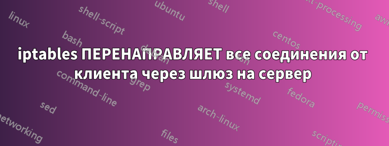 iptables ПЕРЕНАПРАВЛЯЕТ все соединения от клиента через шлюз на сервер