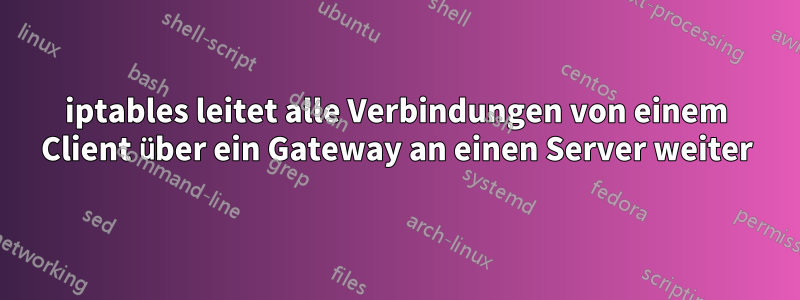 iptables leitet alle Verbindungen von einem Client über ein Gateway an einen Server weiter