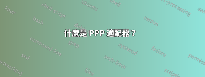 什麼是 PPP 適配器？ 