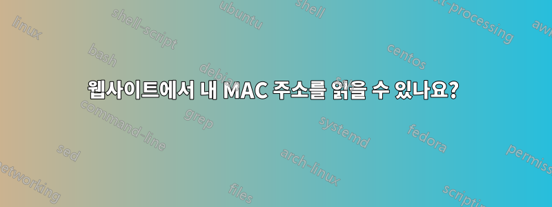 웹사이트에서 내 MAC 주소를 읽을 수 있나요?