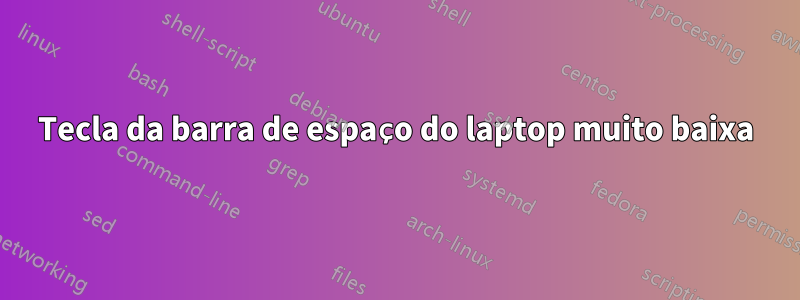 Tecla da barra de espaço do laptop muito baixa