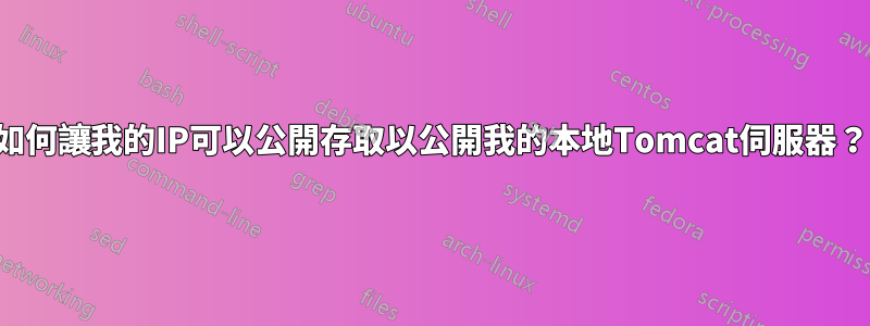 如何讓我的IP可以公開存取以公開我的本地Tomcat伺服器？