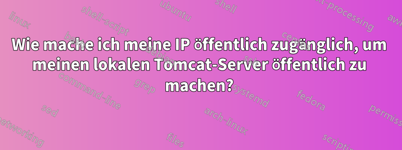 Wie mache ich meine IP öffentlich zugänglich, um meinen lokalen Tomcat-Server öffentlich zu machen?