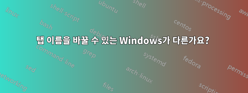 탭 이름을 바꿀 수 있는 Windows가 다른가요?