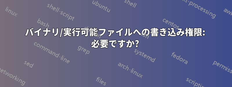 バイナリ/実行可能ファイルへの書き込み権限: 必要ですか?