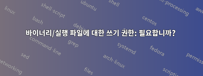 바이너리/실행 파일에 대한 쓰기 권한: 필요합니까?