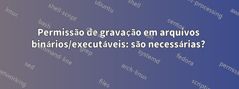 Permissão de gravação em arquivos binários/executáveis: são necessárias?