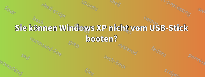 Sie können Windows XP nicht vom USB-Stick booten?