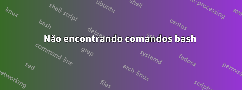 Não encontrando comandos bash