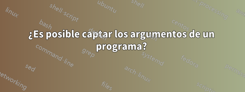 ¿Es posible captar los argumentos de un programa?