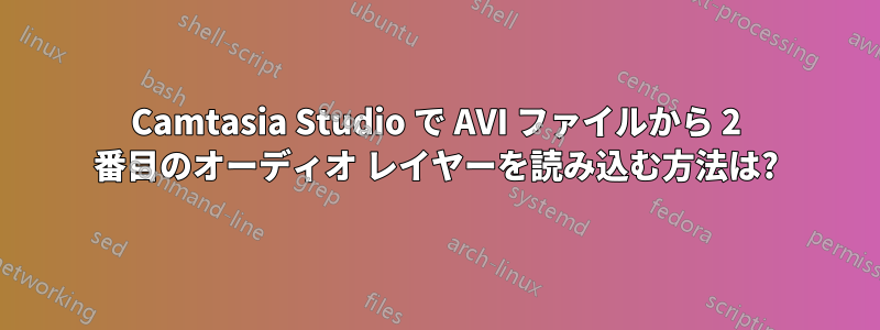 Camtasia Studio で AVI ファイルから 2 番目のオーディオ レイヤーを読み込む方法は?