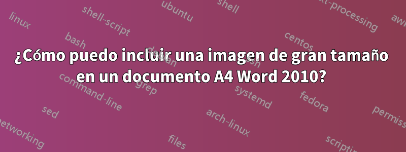 ¿Cómo puedo incluir una imagen de gran tamaño en un documento A4 Word 2010?