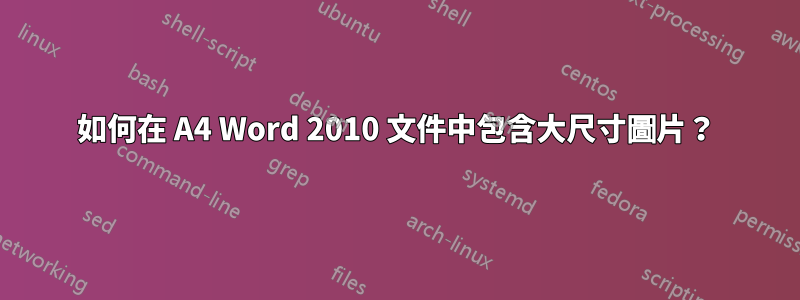 如何在 A4 Word 2010 文件中包含大尺寸圖片？