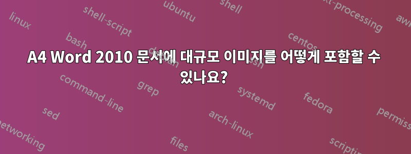 A4 Word 2010 문서에 대규모 이미지를 어떻게 포함할 수 있나요?