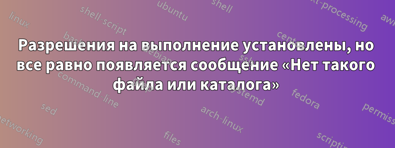 Разрешения на выполнение установлены, но все равно появляется сообщение «Нет такого файла или каталога»